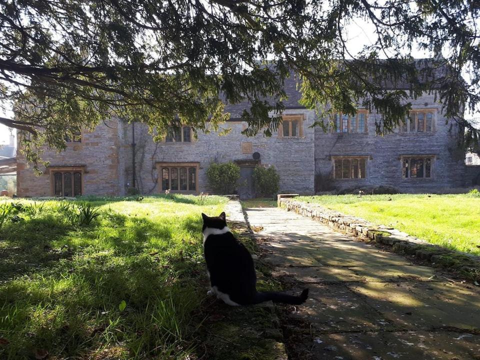 The Manor House, Curry Mallet Taunton Eksteriør billede