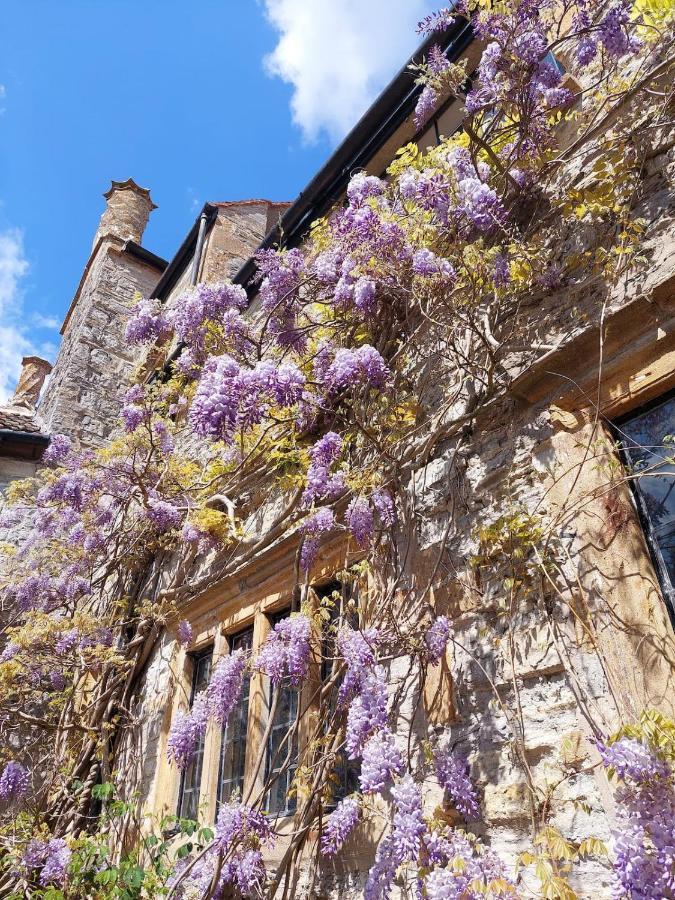 The Manor House, Curry Mallet Taunton Eksteriør billede